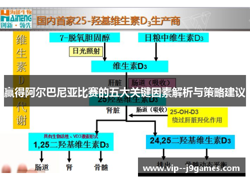 赢得阿尔巴尼亚比赛的五大关键因素解析与策略建议 赢得阿尔巴尼亚比赛的五大关键因素解析与策略建议
