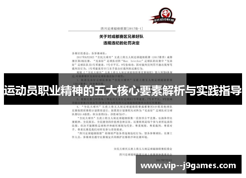 运动员职业精神的五大核心要素解析与实践指导