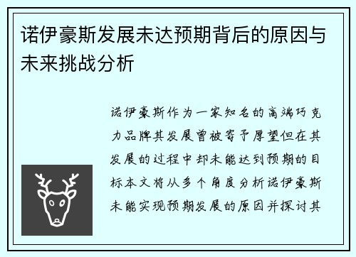 诺伊豪斯发展未达预期背后的原因与未来挑战分析