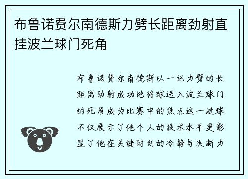 布鲁诺费尔南德斯力劈长距离劲射直挂波兰球门死角